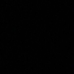 Meet your Posher, Bodie